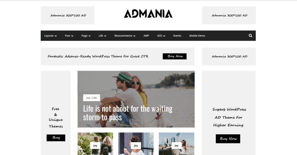 Premium WordPress Themes with High AdSense Earnings Potential